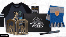 Load image into Gallery viewer, Let the Sorting Hat help choose your house and unbox the magic
